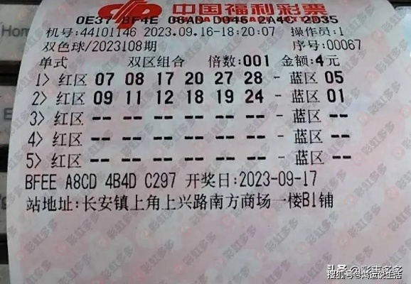 六合彩108期，机遇与挑战的交织
