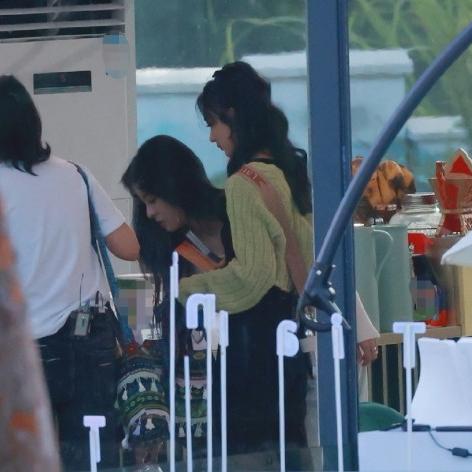 台风肆虐下湛江60多亩香蕉林，灾难与希望的交织