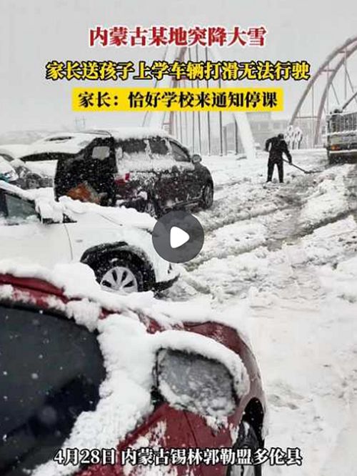 河北多地四月飞雪，奇景背后的自然奥秘探寻