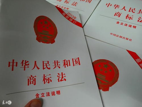 注册商标查询的重要性与步骤解析