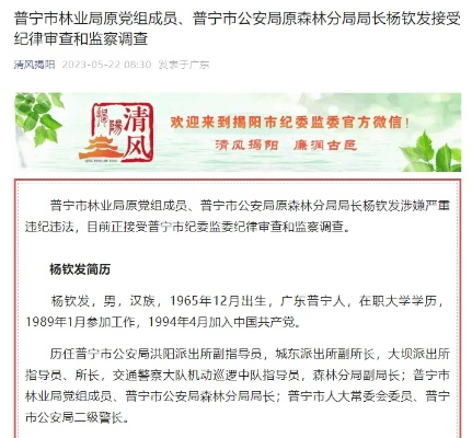杨桦因配偶失管失教被开除党籍处分决定宣布