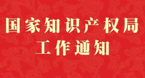 国家知识产权网，知识产权保护与创新发展的先锋阵地