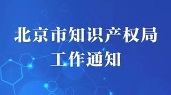 中国专利局，推动创新与知识产权发展的核心驱动力