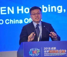 国家知识产权局专利局，推动创新与知识产权协同发展的引领者