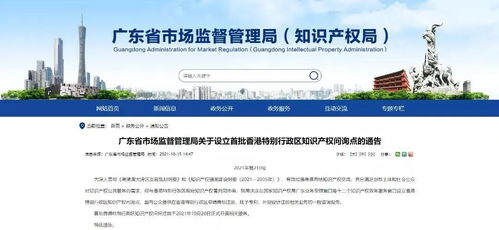 中国专利查询系统，创新与知识产权的联接桥梁