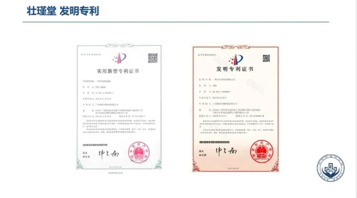 国家专利局网站，创新与知识产权的联接桥梁