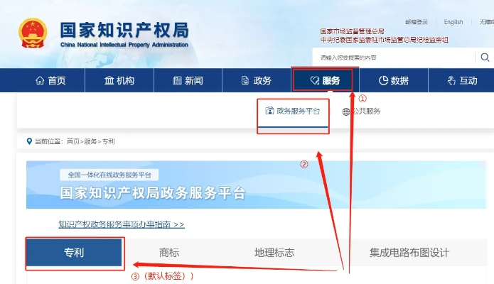 国家专利号查询网站，专利信息一键获取窗口