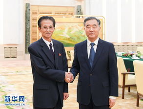 王毅在京会见朝鲜外相崔善姬，推动中朝友好合作深化发展
