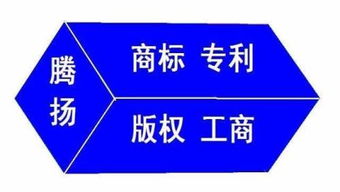 专利业务办理系统官网，高效便捷的专利服务一站式平台