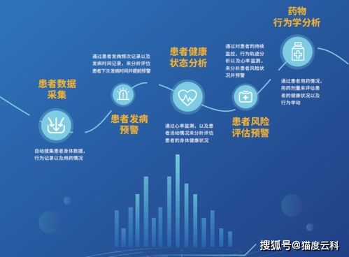 云联牧场，智慧牧业的未来重塑者