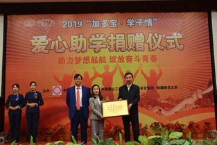 新疆招生网官方网站，新疆学子梦想起航的关键平台