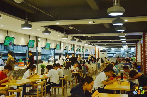 顺德机关大院饭堂，昔日机关食堂变身网红打卡胜地