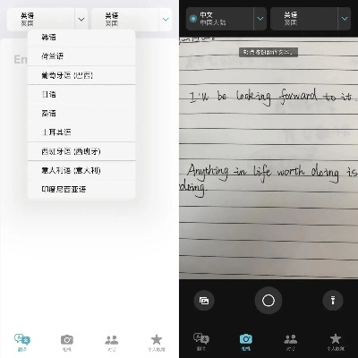 翻译在线与拍照技术的奇妙融合，开启高效便捷新体验
