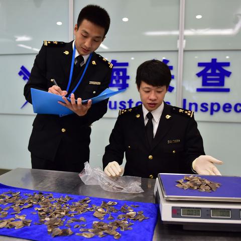 北京海关查获疑似象牙手镯八件，野生动物保护行动成效显著