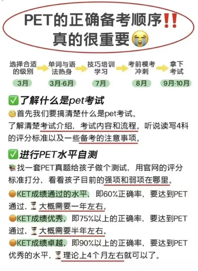 Pets成绩查询，重要时刻与详细步骤全解析