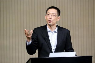 新天地会长被批捕，真相揭秘与未来展望