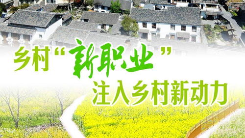 韩国青年返乡务农，成为乡村振兴新动力