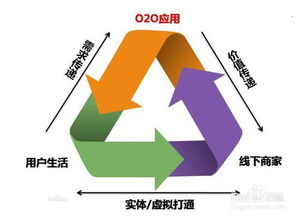 郑钦文退出武网，转型之路与未来展望分析