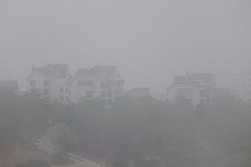 大雾预警，朦胧背后的危机与应对之策