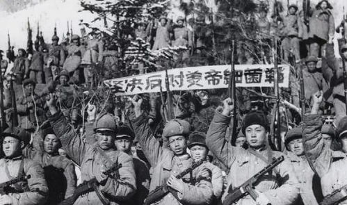 揭秘731毒气实验室背后的故事，玩具下架背后的真相探索