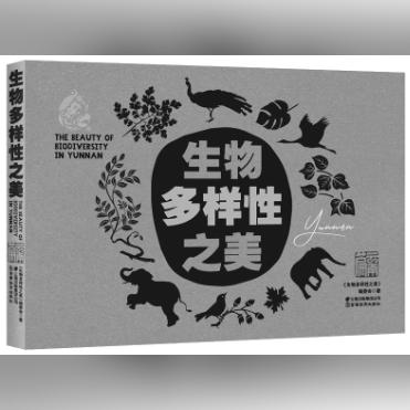 园方回应东北虎脏出新高度，环境与动物共生难题的挑战与解决策略