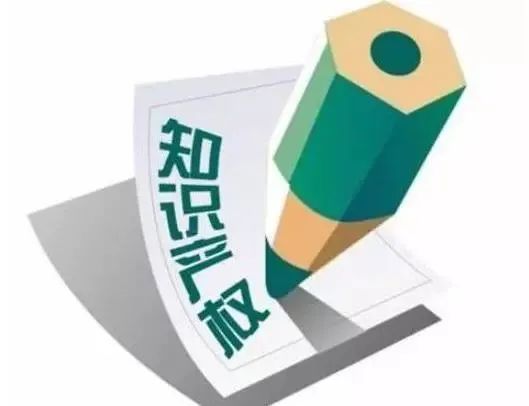 知识产权专业，探索保护与利用的平衡之道