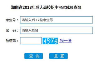 成人高考查询成绩官网，开启升学新征程的重要窗口