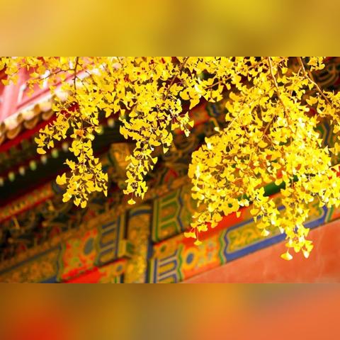 北京周边旅游景点，近在咫尺的美好探寻之旅