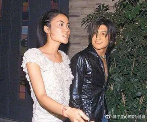 王菲生子，生命奇迹与无尽爱的交织
