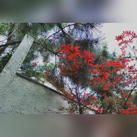 三岁男童景区游玩意外坠落栈道缝隙