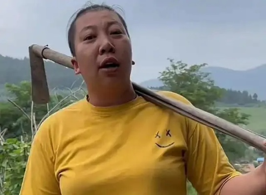 东北雨姐账号禁言解封事件，多方回应与探讨