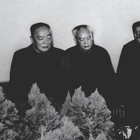 探索大地资源中无尽的高清在线播放宝藏