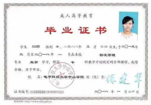 个人学籍学历查询，权益保障与发展促进的关键途径