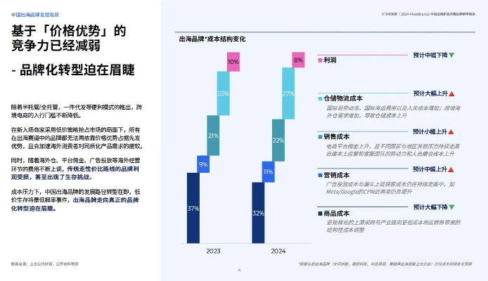 探索国产品牌的成长之路，从品牌发展到消费者洞察的全方位解析