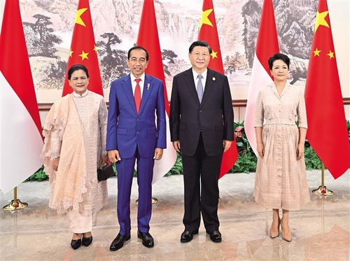 印度尼西亚总统佐科访华，深化合作，共谋发展之道