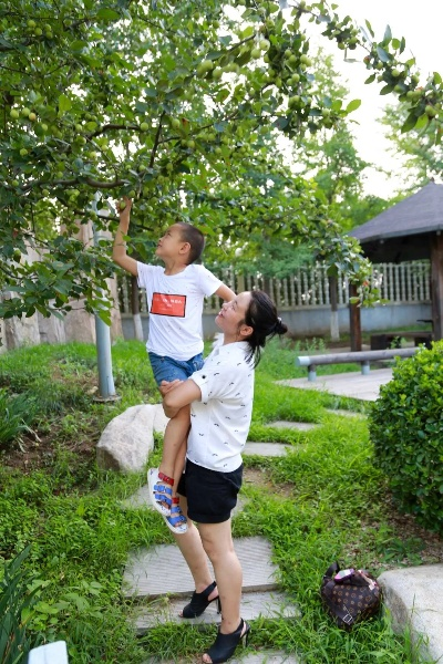 母子心弦相连的情感纽带