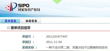 国家专利号查询网站，专利信息一键获取窗口