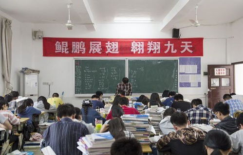 贵州招生考试网，学子梦想起航的关键平台