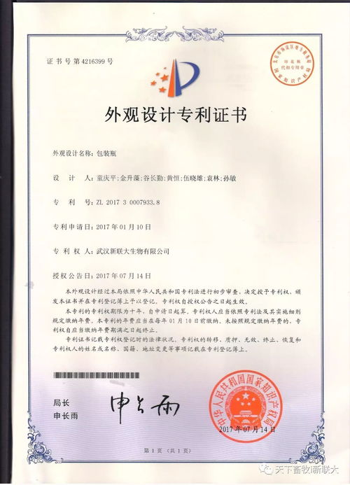 国家专利局网，专利信息的权威来源