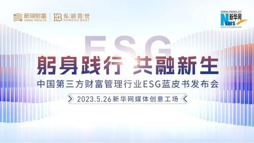 国美事件，公司治理与权力博弈的深度探讨