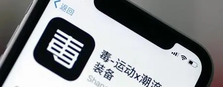 毒app，潮流文化引领者与交易平台创新者