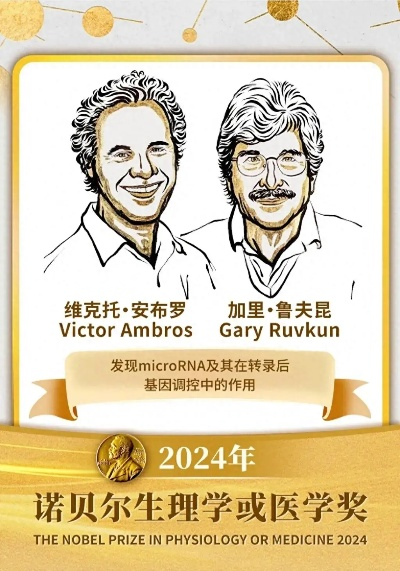 未来医学展望，2025年诺贝尔生理学或医学奖揭晓，开启崭新篇章