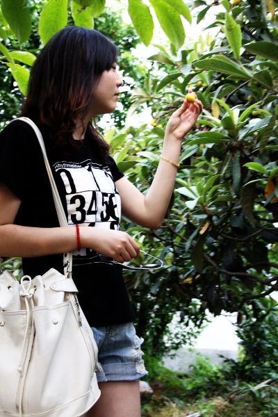 探秘33p，揭开其神秘面纱与广泛应用