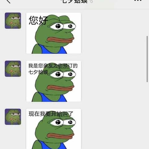 孤寡青蛙商标背后的故事与启示，多方成功注册的深层原因解析