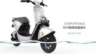 京东购物遭遇乌龙，电动车到货成玩偶，平台介入解决引热议
