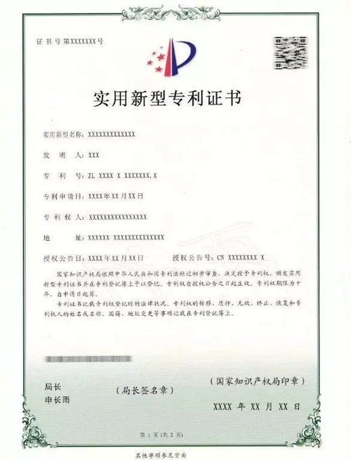 专利的种类及其重要性概览