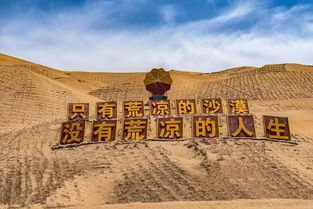 中国沙漠变绿洲的奇迹，征服死亡之海之路