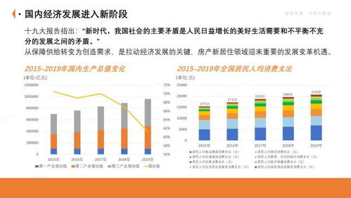 日本裸模，历史、文化、社会影响与未来发展趋势探究
