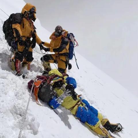珠峰暴雪遇险，向导携犬英勇撤离上百人生命
