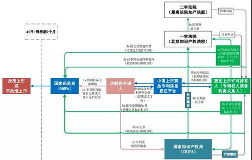 专利信息网，连接创新与知识的桥梁之道